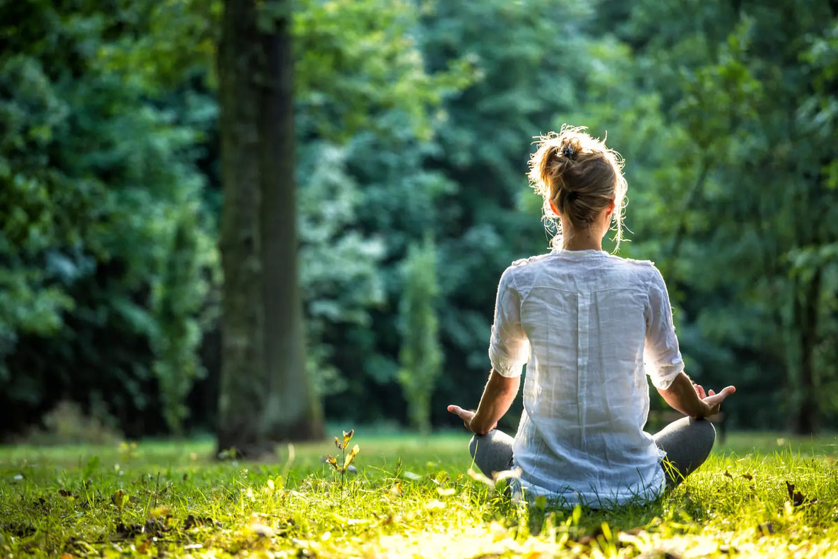 A woman meditates on sunlit grass at the edge of a forest