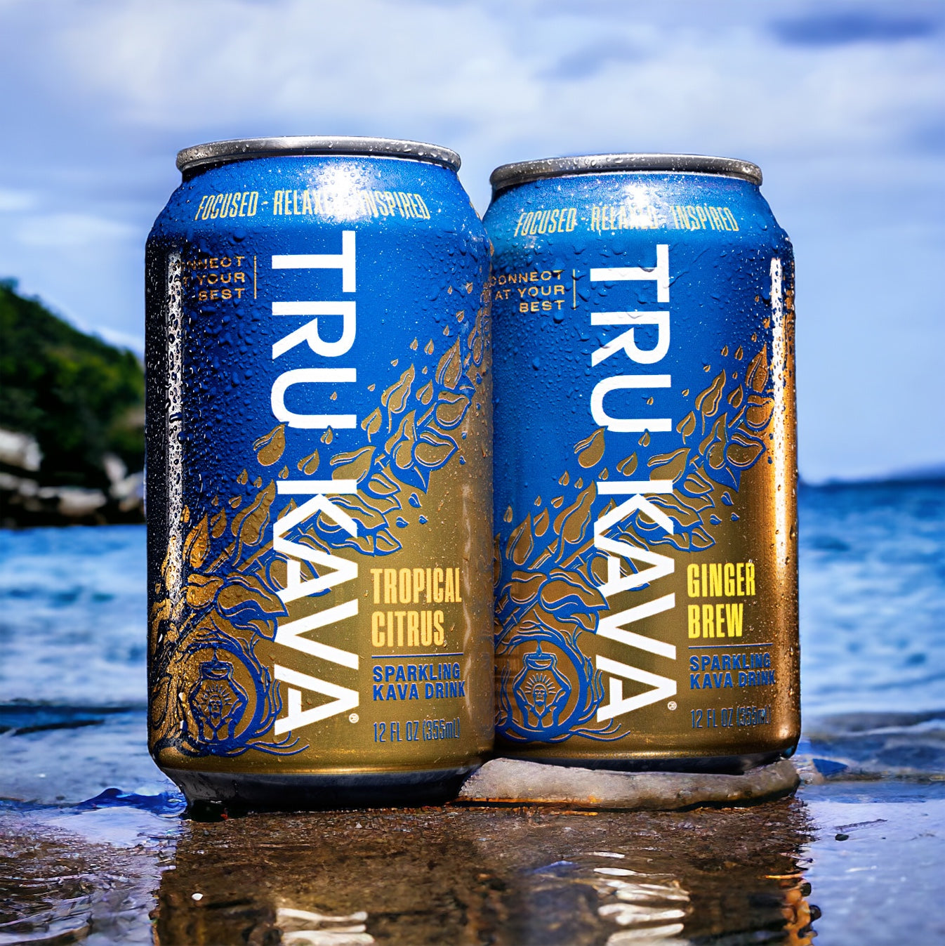 TROPICAL CITRUS Kava Drink 6 Pack – TRU KAVA