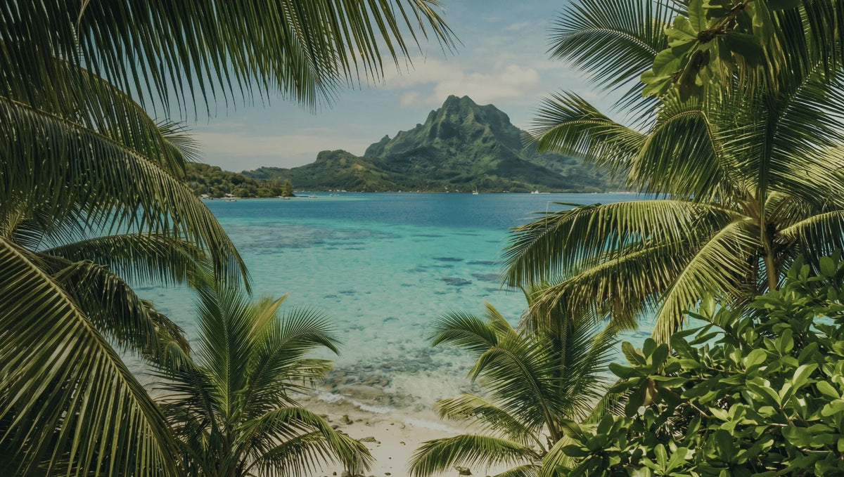 A South Pacific island lagoon framed by palms