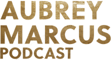 Aubrey Marcus Podcast